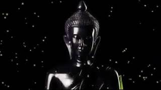 Gautam Buddha Quotes Status   Whatsapp Status Video Download   Whatsapp Status   Buddha   Buddhism