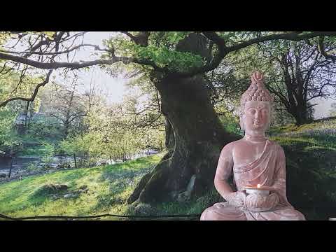 Tägliche Meditationen zu den Tageslektionen vom Kurs in Wundern.