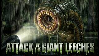 Attack of the Giant Leeches (1959) | Full Classic Horror Movie | Film Masters | HD Remaster
