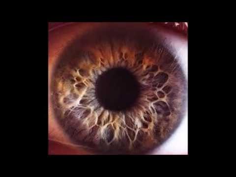 Skip - Normalny świat