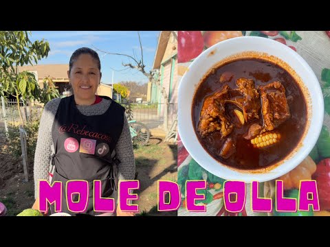 MOLE DE OLLA