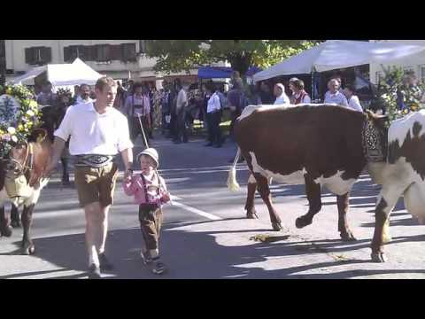 Bauernmarkt Hollersbach