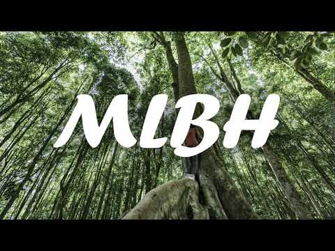 Take you down (WellZ Remix) 2020