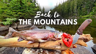 GIANT TROUT Fishing &amp; SOLO Camping!!! (Catch &amp; Cook Movie)
