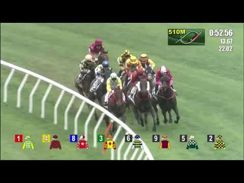 1/5/2022 (627) Galaxy Witness - J Moreira