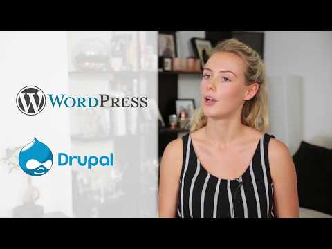 Website Builders vs CMS: Key Differences Explained