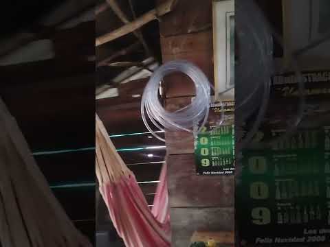 Uribe (Meta). Llanos Orientales🐎 Hermoso Atardecer llanero💫 m.@.@🦇  #llanosorientales  #colombia 