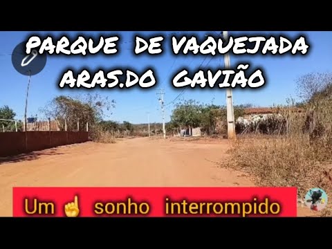 PARQE  E ARAS CASTANHAL. GAVIÃO  PARAMBU CEARÁ. 