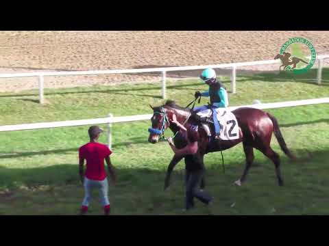 BTC RACE DAY MAR 16TH 2024   RACE 6