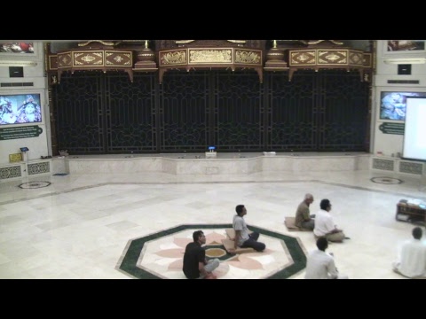 Evening Program - Overview 4th Canto - HH Hanumatpresaka Swami