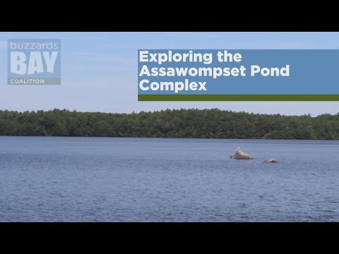 How to Explore the Assawompset Pond Complex
