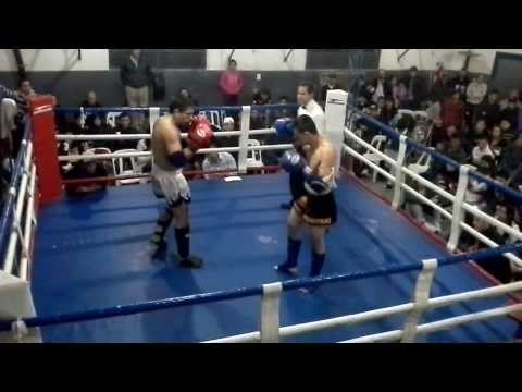 PERRO YACOBONE MUAY THAI