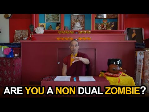 Are You a Non-Dual Zombie? Emptiness Isn't an Excuse