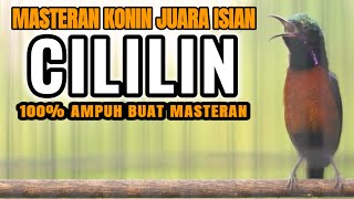 Download lagu PANCINGAN KONIN FULL MATERI MEWAH ISIAN CILILIN INI COCOK BUAT MASTERAN KOLIBRI NINJA ANDA mp3