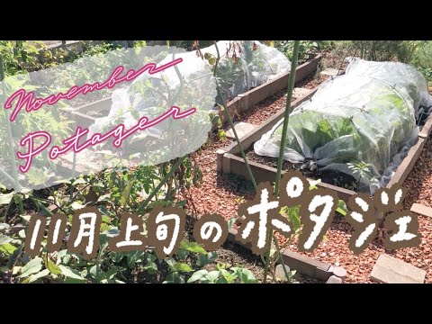 なぜレイズドベッドガーデニングを実践するのか、そしてスタンディングベッドの作り方は何ですか?  庭園