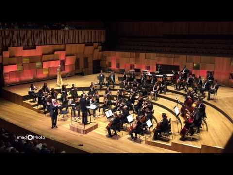 Helwa Ya Baladi - Syrian Exapt Philharmonic Orchestra - SEPO - اوركيسترا السوريين المغتربين