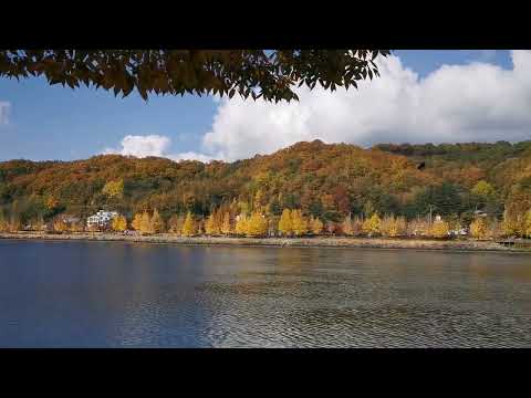 Coreia do Sul (Gyeongsangbuk-do) [Cidade de Andong] Wolyeong Park_Yeongak Bridge