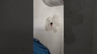 Download lagu Когда нет возможности закрепить станину, спасает бесщеточный ручной мотор с микроударом Bycon DB-202 mp3