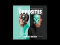 the opposites slapeloze nachten Full album