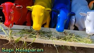 Download lagu HUNGRY!! FEEDING ANIMALS WITH GRASS COWS, BUFFALO, CUTE COWS, JUMBO COWS, MOO COWS, COLORFUL COWS mp3