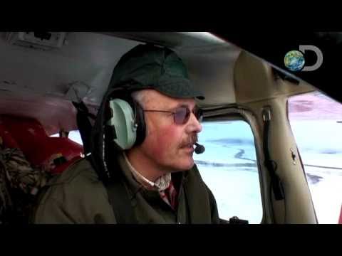 Flying Wild Alaska - Too Close for Comfort