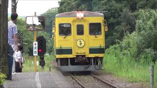 【いすみ鉄道】上総中野駅でちょこっと撮影！