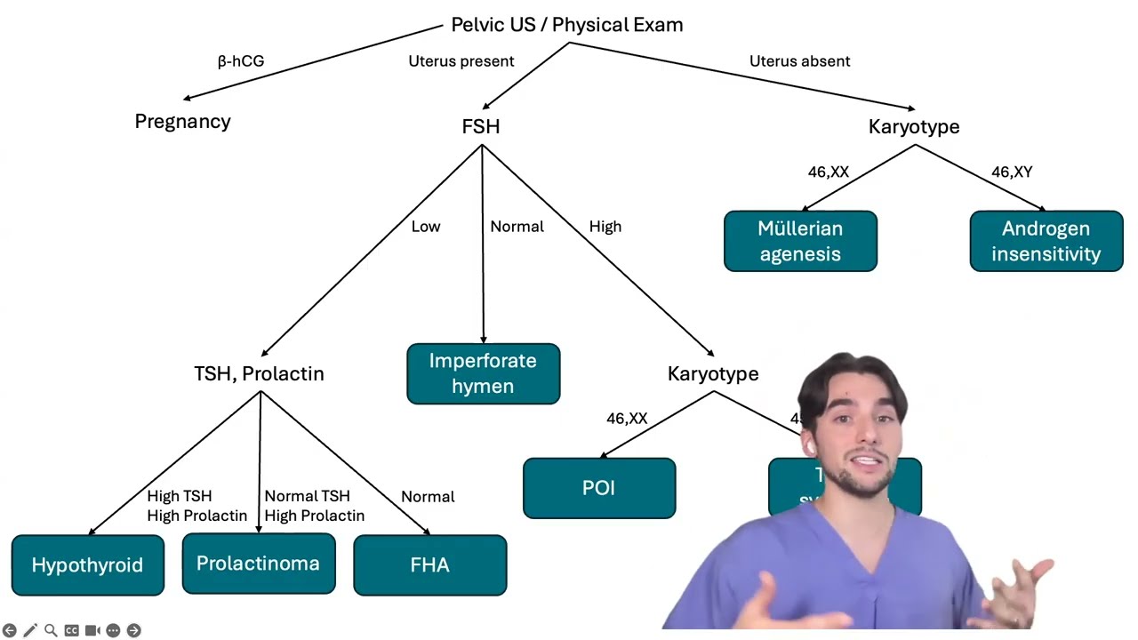 Master Primary Amenorrhea for Step2CK!