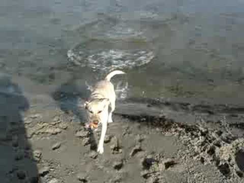 Nahla at the Beach 2