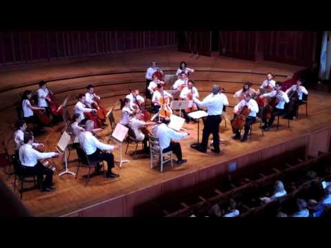 24 Cellists play the Cantique de Jean Racine Op. 11 by Gabriel FAURE