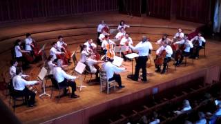 24 Cellists play the Cantique de Jean Racine Op. 11 by Gabriel FAURE