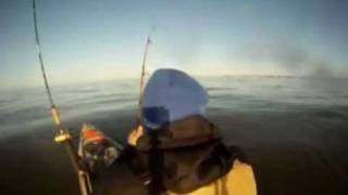 preview picture of video 'Go Pro kayak fishing 40 striper 2 miles out in the delaware'