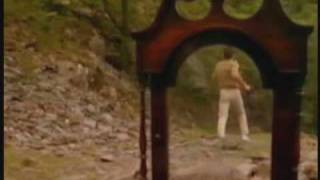 Cliff Richard     "She's so Beautiful"