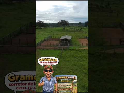 FAZENDA À VENDA EM MIRANORTE DO TOCANTINS, (63)984079880