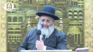 שידור חי | הכנה לפורים עם הרב ישראל אברג'ל שליט"א, בנו וממשיך דרכו של הרב יורם אברג'ל זיע"א