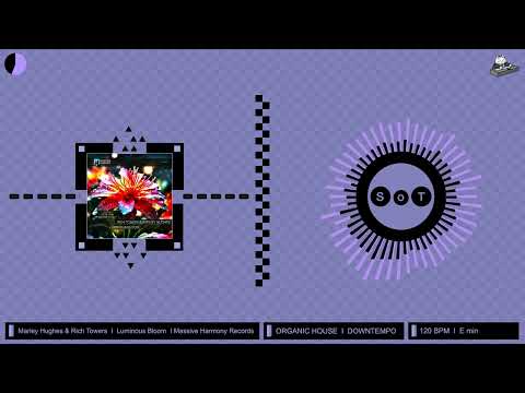 Marley Hughes & Rich Towers - Luminous Bloom [Organic House & Downtempo] [Massive Harmony Records]