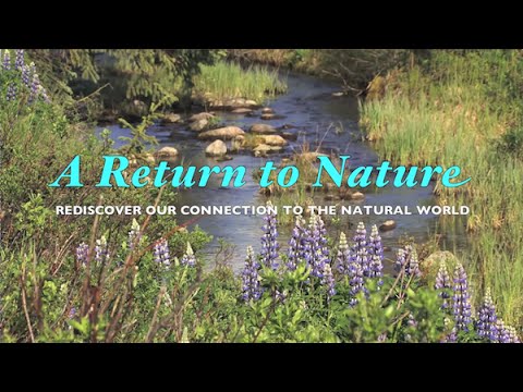 A RETURN TO NATURE