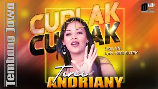 Download lagu TINI ANDRIANY | CUPLAK CUPLAK TEMBANG JAWA.. mp3