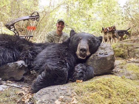 Třídenní lov medvěda
