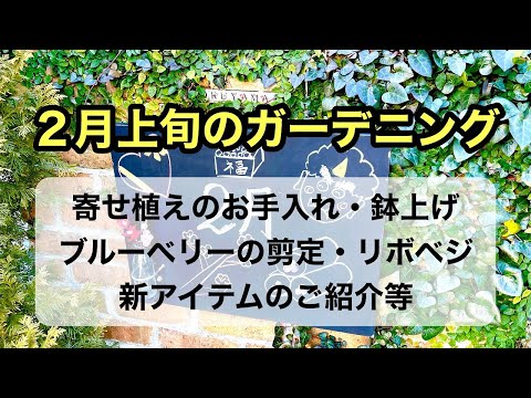 野菜の旧暦2022年6月：月のあるガーデニングがおしゃれ！  庭園