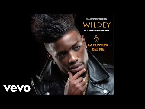 Wildey - La Puntica Del Pie (Official Audio) ft. Moikan