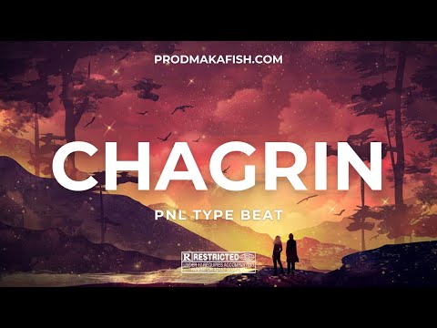 [FREE] PNL Type Beat 2023 "Chagrin" -  Instru Cloud Rap Planant || Cloud Rap Type Beats By Makafish