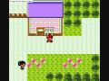 Pokemon Gold Silver Quick Level Up