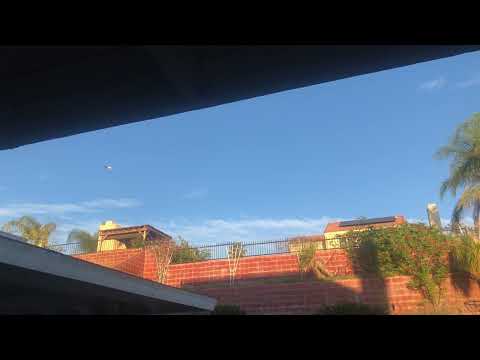 L6o - Choppa Out Pt.4