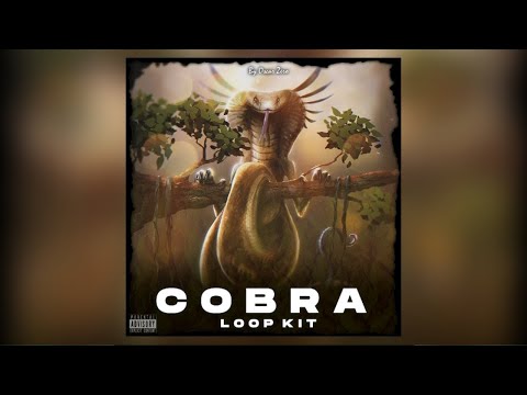 [30+] [FREE] DRILL LOOP KIT/SAMPLE PACK - "COBRA" (Arabic, Calypso, Vocals, Russ)