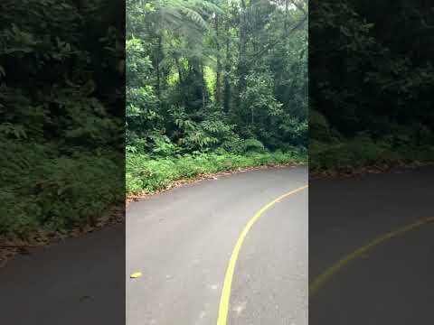 Parque nacional Santa Fe , rumbo al mirador loma grande….