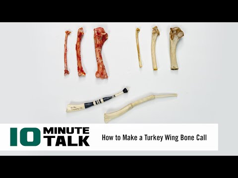 #10MinuteTalk - How To Make a Turkey Wing Bone Call