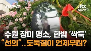 수원 장미 명소, 한밤 '싹둑'…"선의로" 도둑질이 언제부터? / JTBC 사건반장