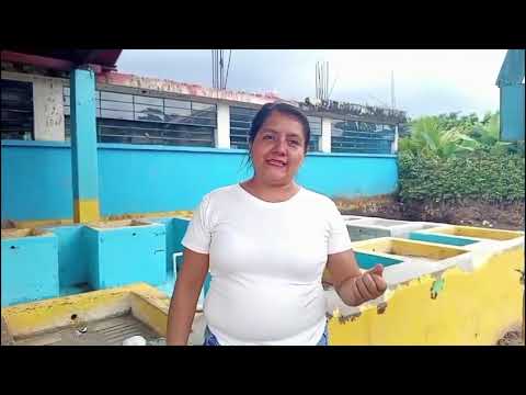 CONOCIENDO EL MUNICIPIO NUEVO SAN CARLOS, RETALHULEU.