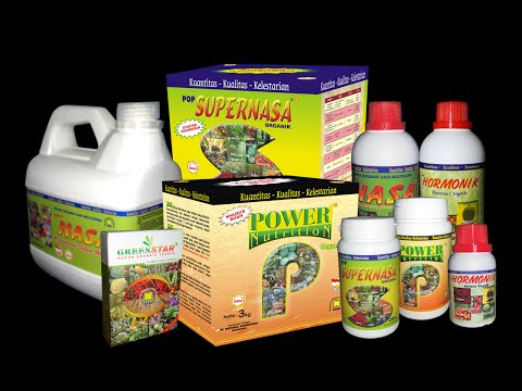 Ginseng tingtur untuk ulasan potensi Latihan untuk pembesaran penis
