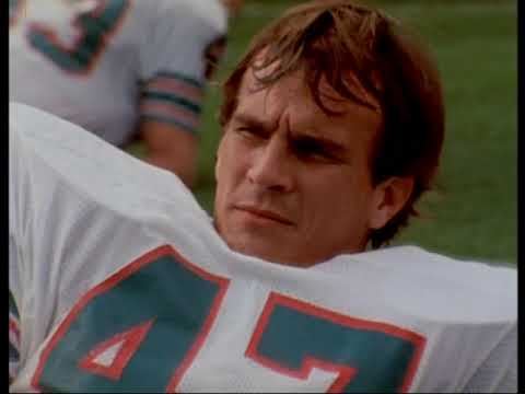 1984 NFL playoffs round 2